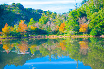 兵庫県加西市・湖面に映える紅葉
