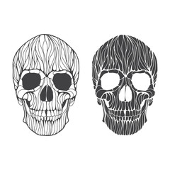 Vector hand drawn skull illustration. Black and white skull for Halloween, Day of the dead t-shirt, poster design.