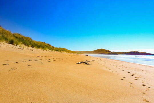 panoramic view of east coastline near oamaru in new zealand