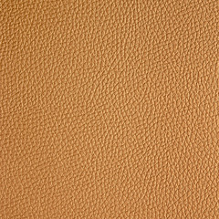 abstract  black textured leather background