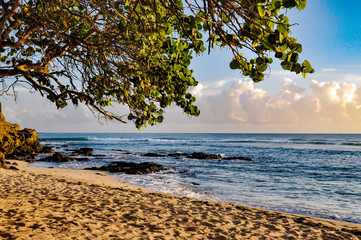 caribbean beach at sunrise
