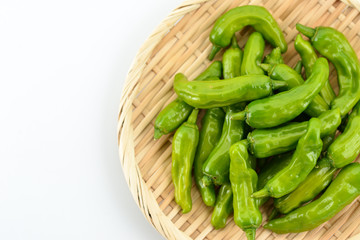 シシトウガラシ