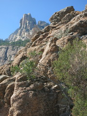 Korsika Bavella-Tal 8