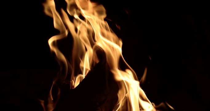 Campfire Flames on a Black Background, Close up in 4k