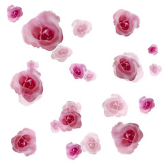 Watercolor Roses. Roses - seamless wallpaper. Use printed materials, signs, items, websites, maps, posters, postcards, packaging.