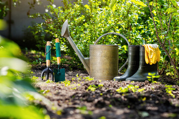 Gardening tools in the garden. Watering can, rubber boots, garde