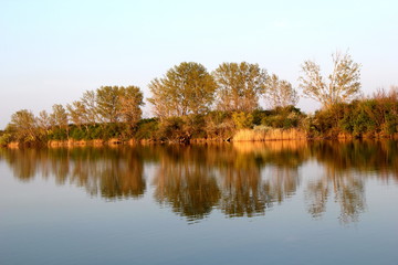 Fototapeta na wymiar Trees reflecting at the river