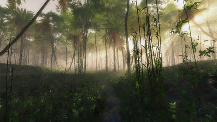 Obraz premium Pathway in foggy jungle with sun rays.
