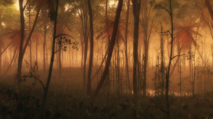 Fototapeta premium Puddle of water in misty tropical forest.