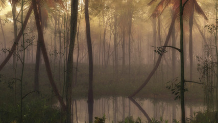 Pond in dense misty tropical forest.