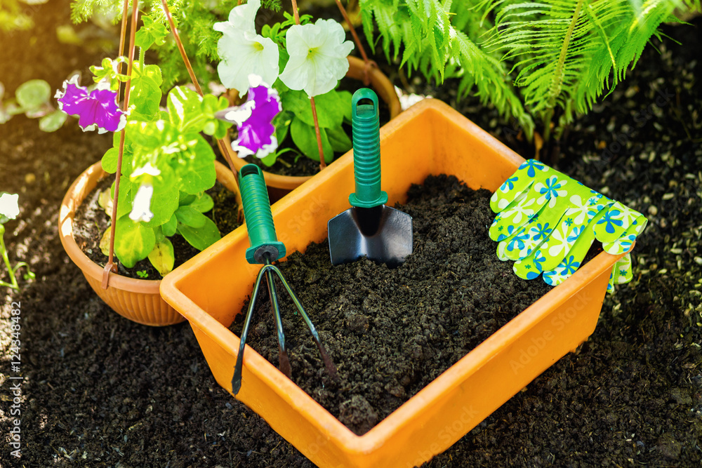 Wall mural Gardening tools in the garden. Working in the garden. Work glove