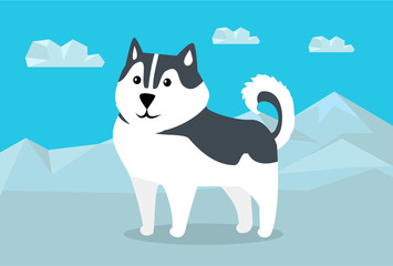 Siberian Husky Vector Illustration in Flat Design