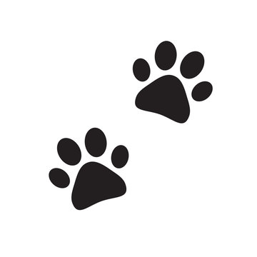 Paw prints vector isolated