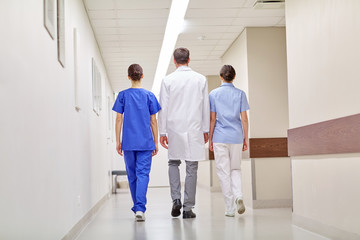Fototapeta premium group of medics or doctors walking along hospital