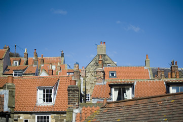Traditional cottage roofs