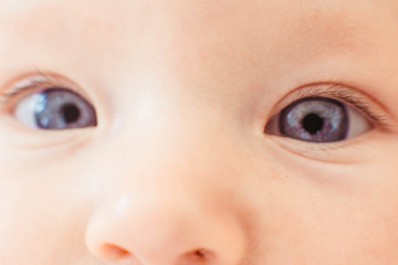 eyes and nose at close range of a small child