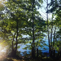 Am Boberger See in Hamburg