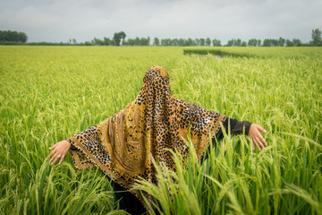 Beautiful happy Muslim woman in green field