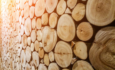 round teak wood stump background