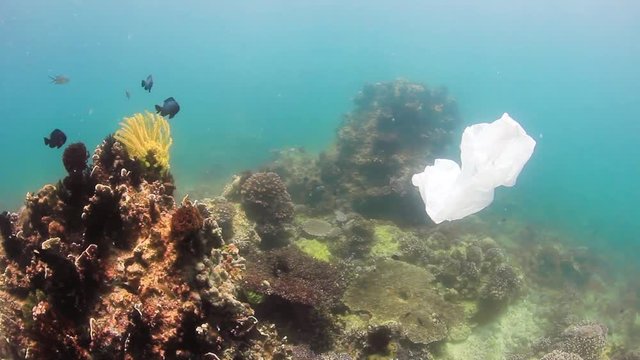 A plastic bag drifts across a damaged tropical coral reef. Human impact, global warming and pollution are rapidly damaging the world's coral reef.
