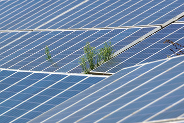 photovoltaic panels