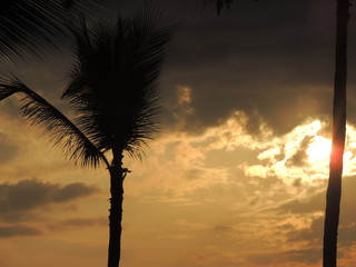 Sunset with Palm trees