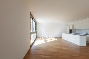 Interior, domestic kitchen