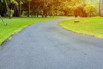 health walk in the park