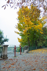 Viale autunnale a Cuneo