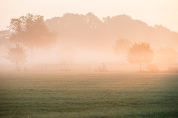 Cyclist on rural road through morning mist. Geesteren. Gelderlan