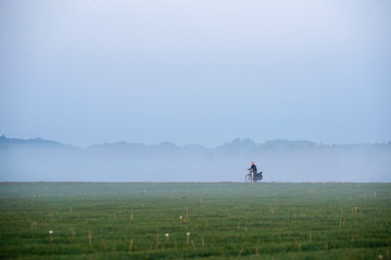 Naklejka na ściany i meble Kid cycling on rural road in morning mist. Geesteren. Gelderland