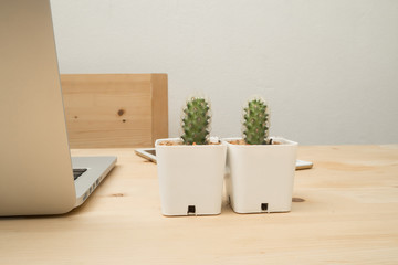 Office table with Beautiful Cactus flower on white flowerpot and