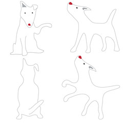 Bull Terrier White Dog Acting Cute