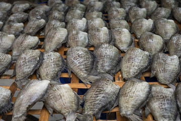 Food Preservation, Dry fish (Trichogaster pectoralis) in the market.