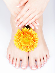 Obraz na płótnie Canvas female feet at spa salon on pedicure and manicure procedure