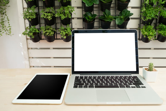 Office table with blank screen on laptop, tablet and cactus flow