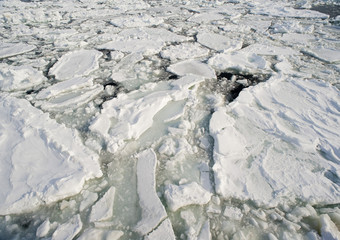 Drift ice floating at sea © photoeverywhere