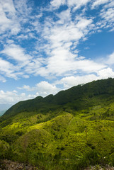 Enigmatic and mysterious forests of Central America. Guatemala