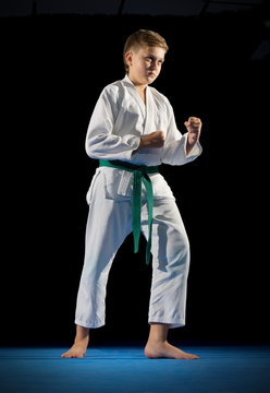 Boy martial arts fighter