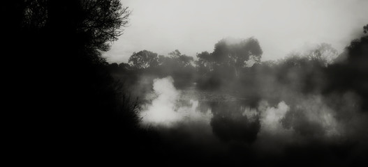 Naklejka premium las ciemna noc ./Halloween tło.