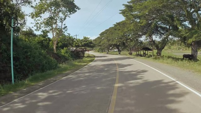 Village Road. Motion on motorbike. Philippines. Bohol island. Driving forward.