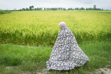 Beautiful happy Muslim woman in green field