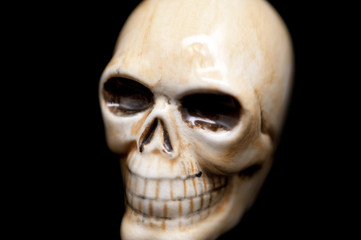 skull
