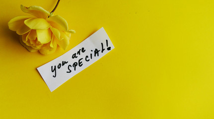 You are spacial . motivational background