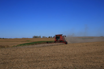 Obraz premium Soybean Harvest - Combine