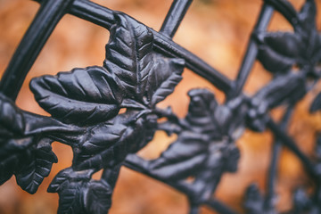 Fototapeta na wymiar Image of a decorative cast iron fence and autumn orange leaves as background
