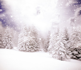  Christmas background with snowy fir trees