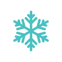 Fotobehang snowflake freeze winter blue white simple icon © valeriyakozoriz