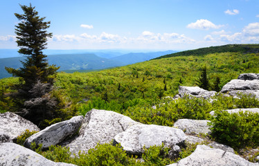 Bear Rocks Preserve