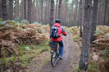 Radfahrer im Dar&szlig;er Urwald